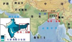 三角洲物资会被追缴吗(三角洲物资被追缴的概率有多大?)