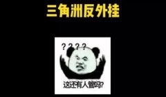 三角洲外挂讲解(三角洲外挂具体使用方法)