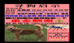 三角洲找寻血猎犬会被封吗(三角洲使用寻血猎犬会被封多久?)