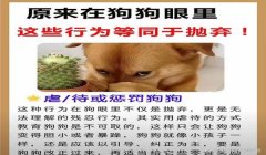 三角洲寻血猎犬被反制(有没有更具体的反制寻血猎犬方法?)