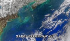三角洲封ip是怎样的(三角洲封ip的具体例子有吗?”)