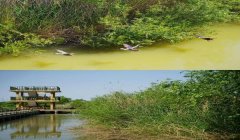 《三角洲行动》最新版本下载方法(再给我一个《三角洲行动》的下载链接)