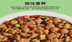 三角洲寻血猎犬举报有用吗(有没有成功举报寻血猎犬的例子?)