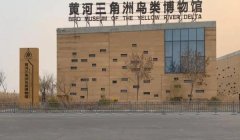 三角洲行动画质修改器怎么用教学(有《三角洲行动》画质修改器下载链接吗?)