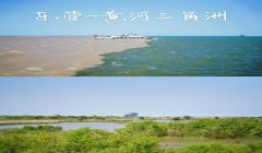 三角洲官网在哪里下(直接给我三角洲官网链接)