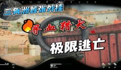 寻血猎犬视角三角洲(寻血猎犬在三角洲的具体玩法)