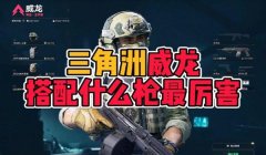 三角洲屏蔽有什么用(三角洲屏蔽功能具体怎么使用?)