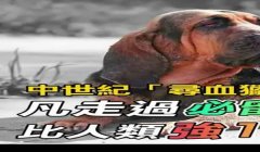 三角洲寻血猎犬能看到什么(三角洲寻血猎犬真的能看到吗?)