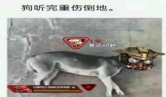 三角洲寻血猎犬的挂怎么开(给我开一个三角洲寻血猎犬的挂)