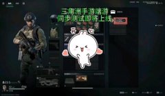 三角洲手游怎么开启仓库自动整理(三角洲手游仓库自动整理功能在哪里?)