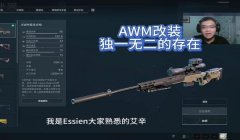 三角洲行动改枪方案应用在哪(三角洲行动改枪方案应用多少钻石?)