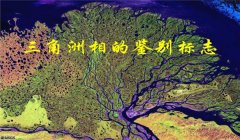 三角洲行动辅助网的网址(三角洲行动辅助网哪个网址最好用?)