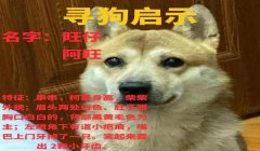 三角洲寻血猎犬为什么封不掉(三角洲寻血猎犬为什么官方不封)