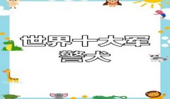三角洲寻血猎犬玩什么的(三角洲寻血猎犬视频教学有吗?)