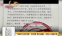 三角洲寻血猎犬能举报成功吗(有没有成功举报寻血猎犬的例子?)