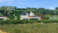 三角洲行动正版下载免费(给我三角洲行动的正版免费下载链接)