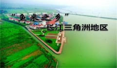 三角洲官网下载的怎么看地区(有没有三角洲官网下载地区的教程?)