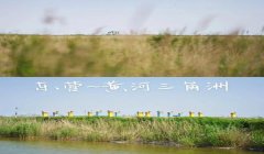三角洲行动套包技巧(《三角洲行动》套包最快的方法)