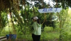 三角洲有官方软件吗(三角洲官方软件叫什么名?)