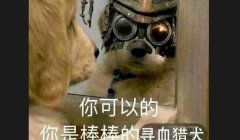 三角洲官方制裁寻血猎犬(有没有寻血猎犬被官方制裁的实例?)