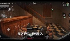 三角洲能在什么软件直接启动(哪个软件能直接在电脑上玩三角洲?)